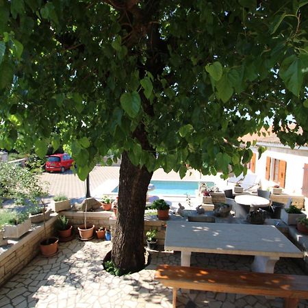 Apartments Vesna With Pool - New! Sveti Lovreč Pazenatički 外观 照片